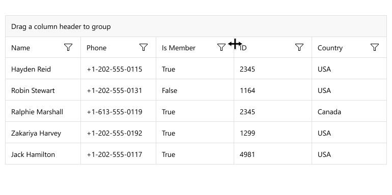 Telerik UI for MAUI DataGrid Column Resizing