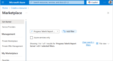 Report Server - Cloud deployment tools for RS.NET