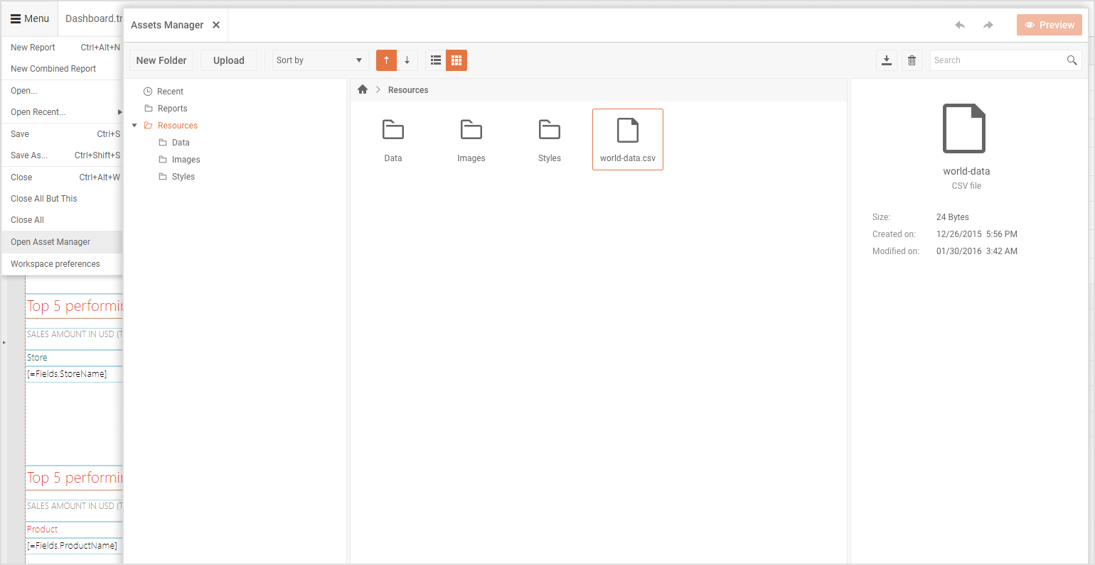 Report Assets Manager in Web Report Designer