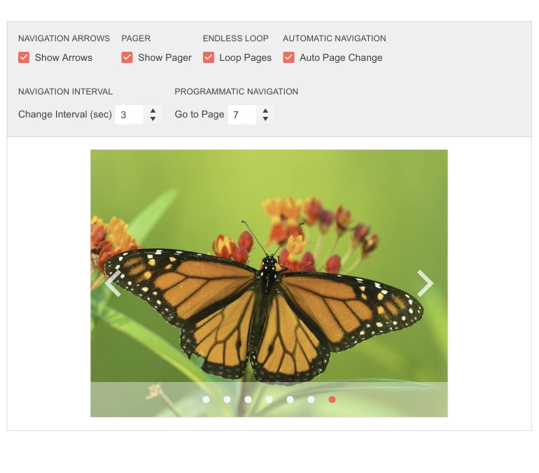 Telerik UI for Blazor Carousel - Configuration