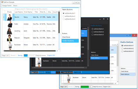 Form Control - Telerik UI For WinForms Components - Telerik