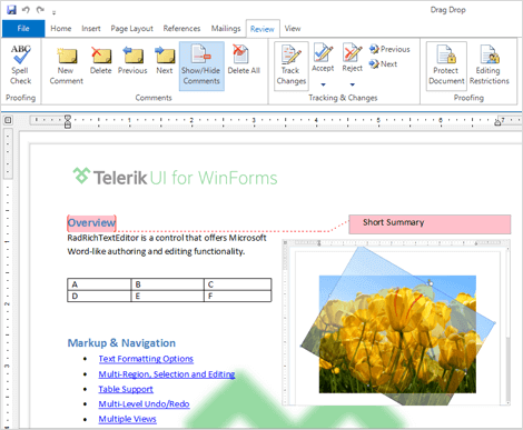 UI for WinForms RichTextEditor Views and Printing