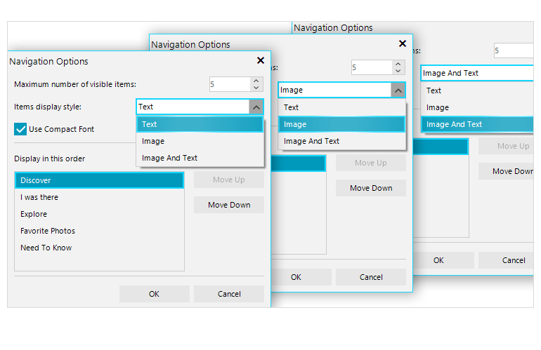 Navigation options dialog inside the WinForms Office Navigation Bar