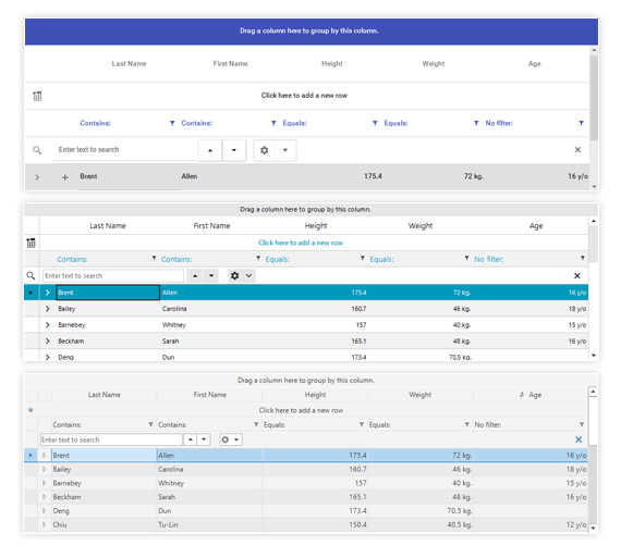 WinForms_professional_looking_theme