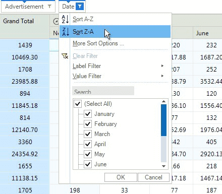 WinForms PivotGrid displaying Easy Data Filtering and Sorting