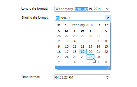 WinForms DateTimePicker control displaying date input interface