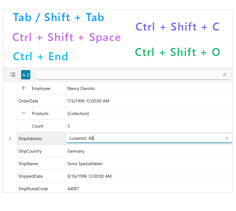 WinUI PropertyGrid Keyboard Support