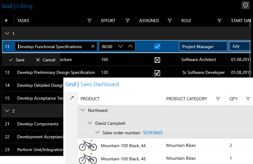 UWP DataGrid Documentation - Validation - Telerik UI for Universal Windows  Platform