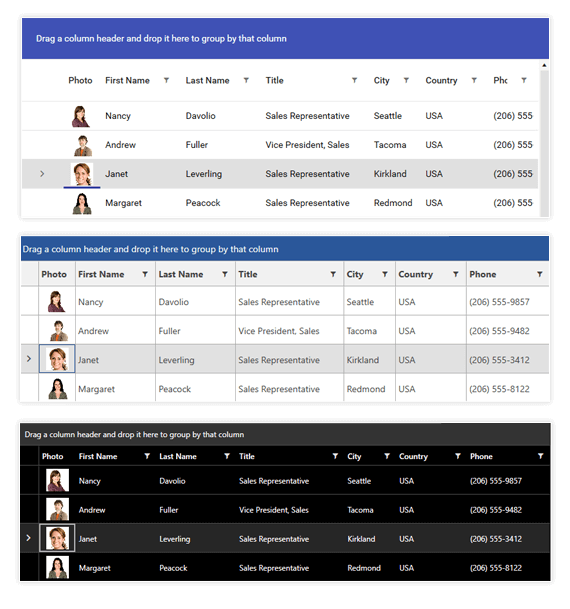 WPF_professional_looking_theme WPF_professional_looking_theme
