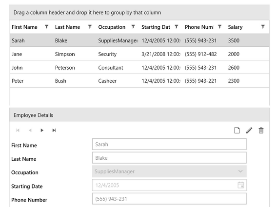 用于WPF数据表单头部图像的Telerik UI