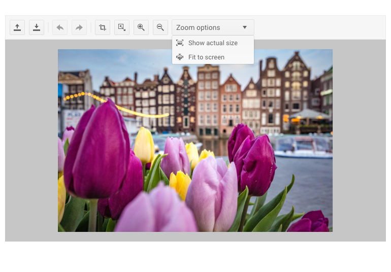 The Kendo UI for jQuery Image Editor Component with an image of tulips with amsterdam in the background