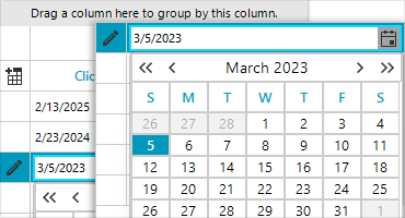 DateOnlyColumn_WinForms